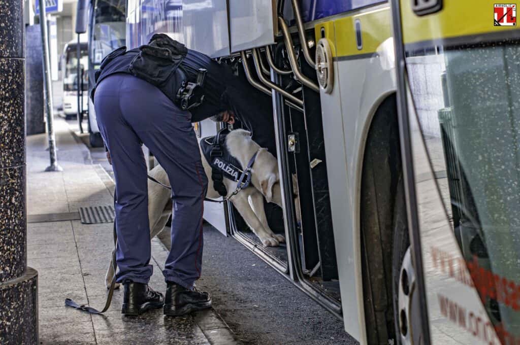 Unità cinofila POLARIA Malpensa durante attività addestrativa - Controllo mezzo di trasporto pubblico