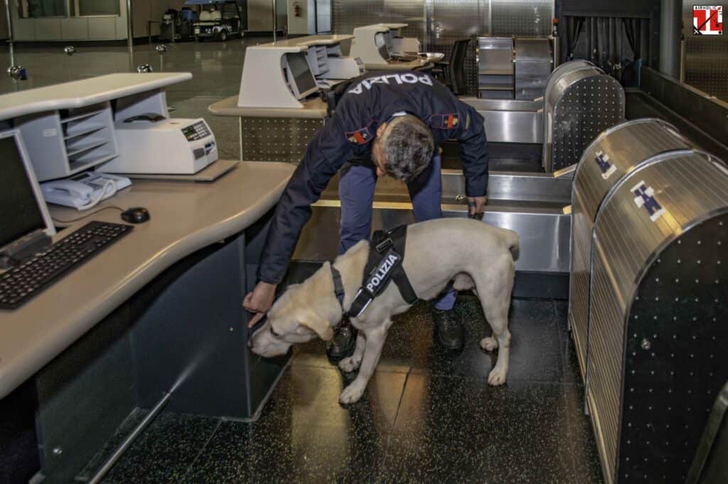 Unità cinofila POLARIA Malpensa durante attività addestrativa - Bonifica preventiva area check-in