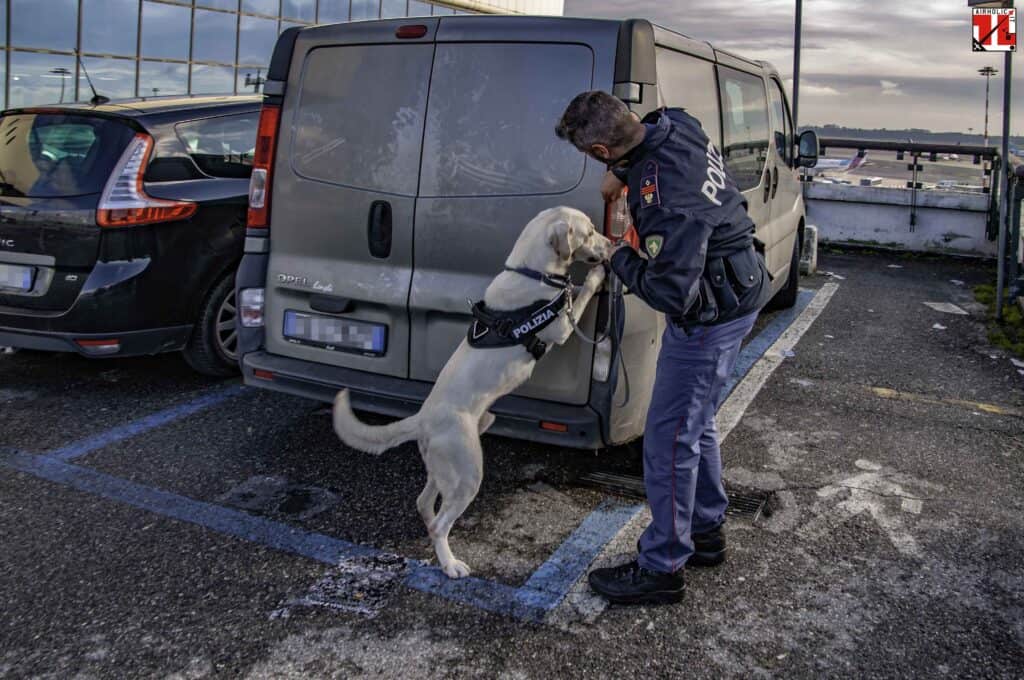 Unità cinofila POLARIA Malpensa durante attività addestrativa - Controllo autoveicoli parcheggiati