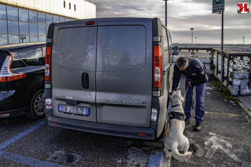 Unità cinofila POLARIA Malpensa durante attività addestrativa - Bonifica preventiva